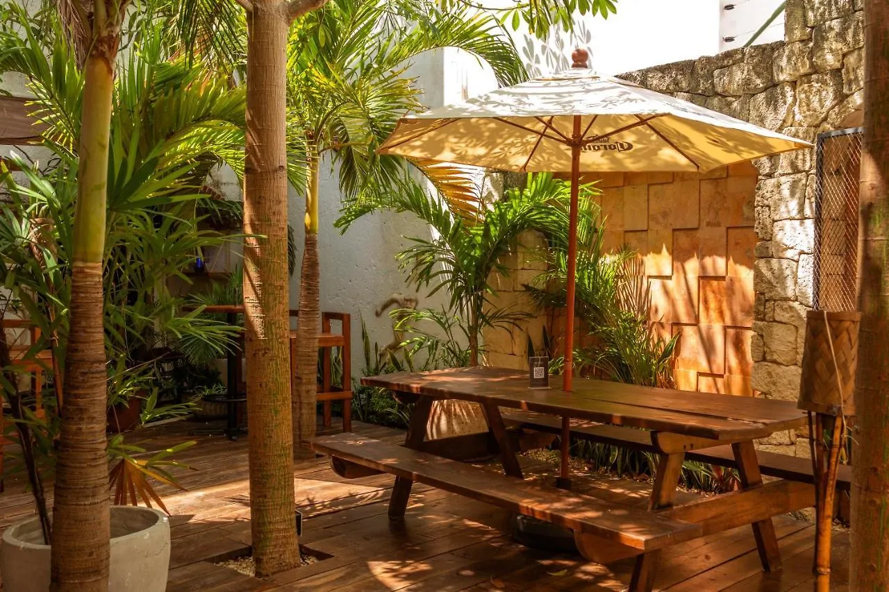 Enigmatic Hotel Experience Cancun Mexico