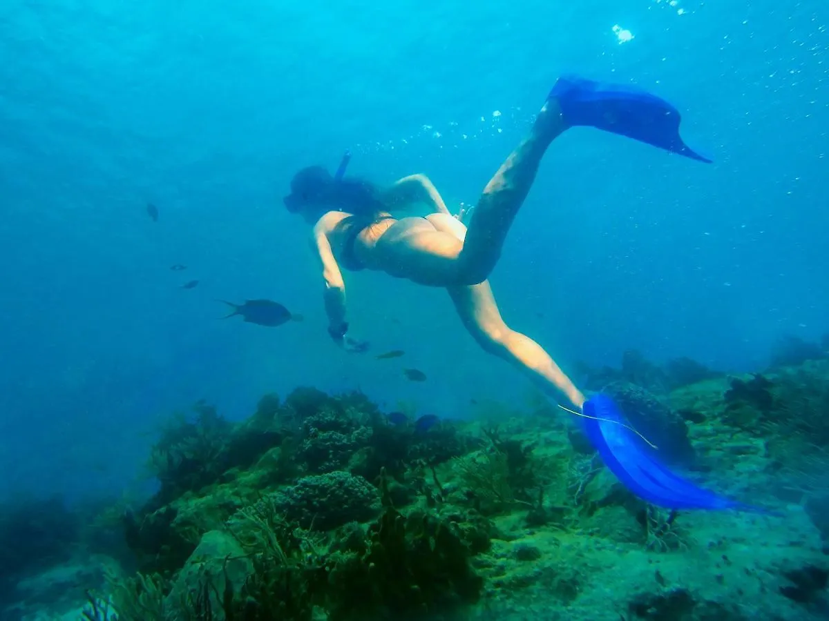 Enigmatic Hotel Experience Cancun 4*,